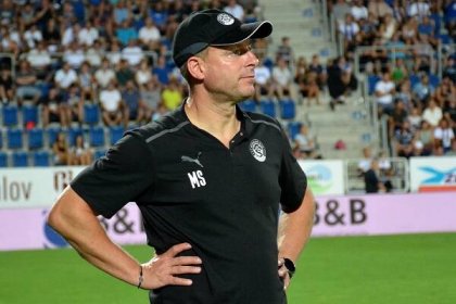 Svědík Mladá Boleslav