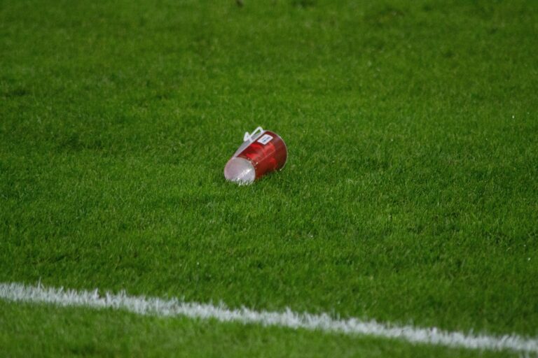 Lvíčata napodobila áčko a propadla v zápase s Bulharskem