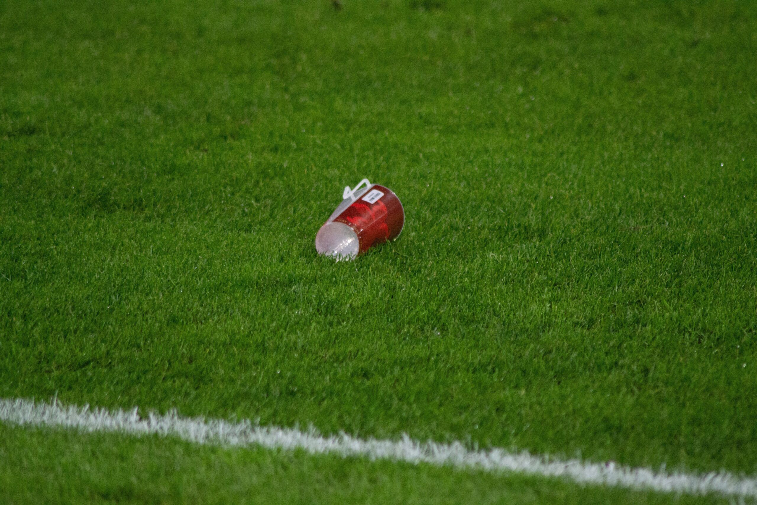 Lvíčata napodobila áčko a propadla v zápase s Bulharskem