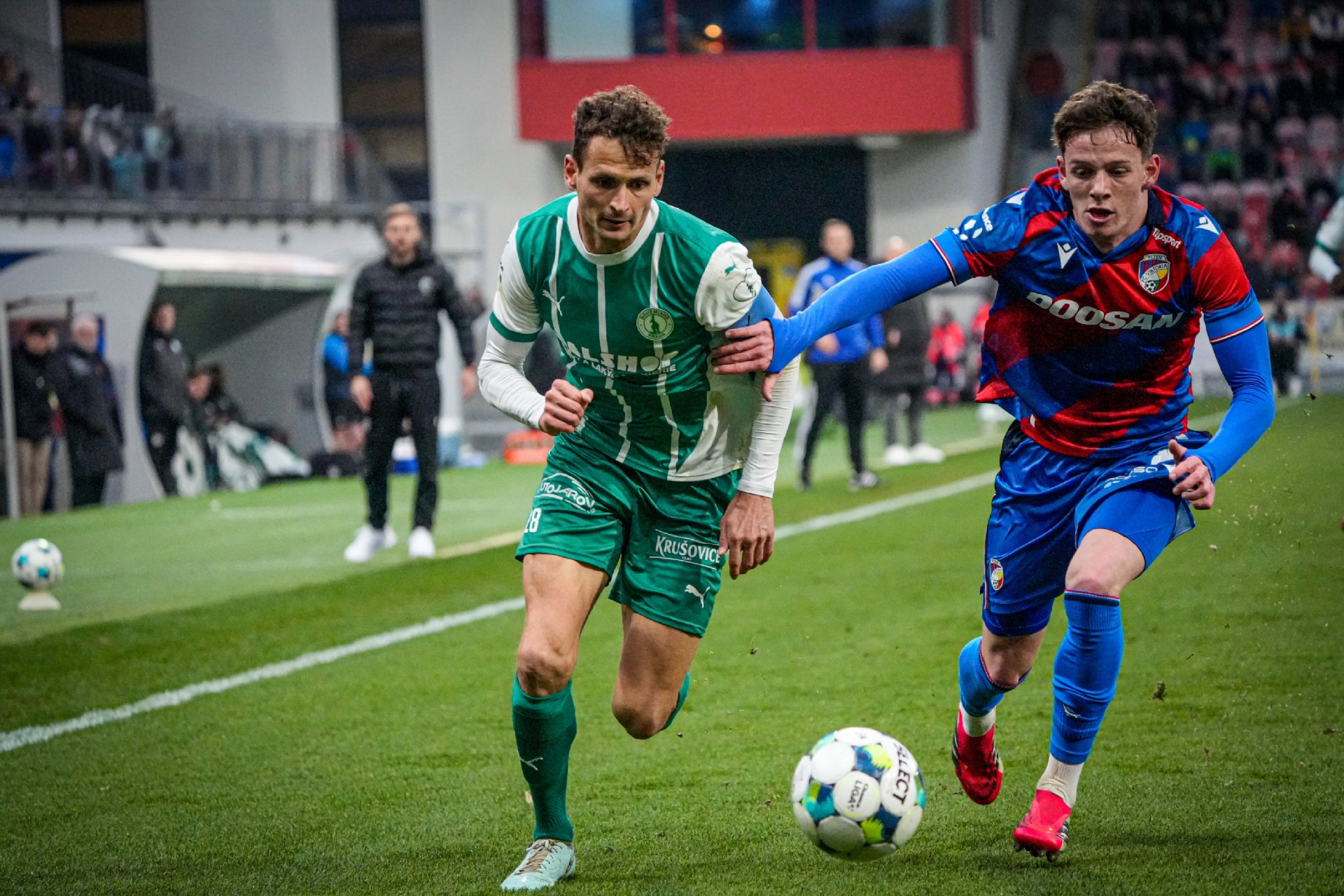 Hlasy z klokaní kapsy: Porážka v Plzni. Bude Veselý podřezávat ovci?