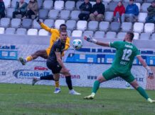 Zadražil do Slavie nedává smysl. Stane se sparťanskou jedničkou?